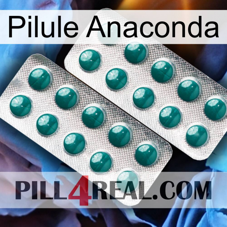 Anaconda Pill dapoxetine2